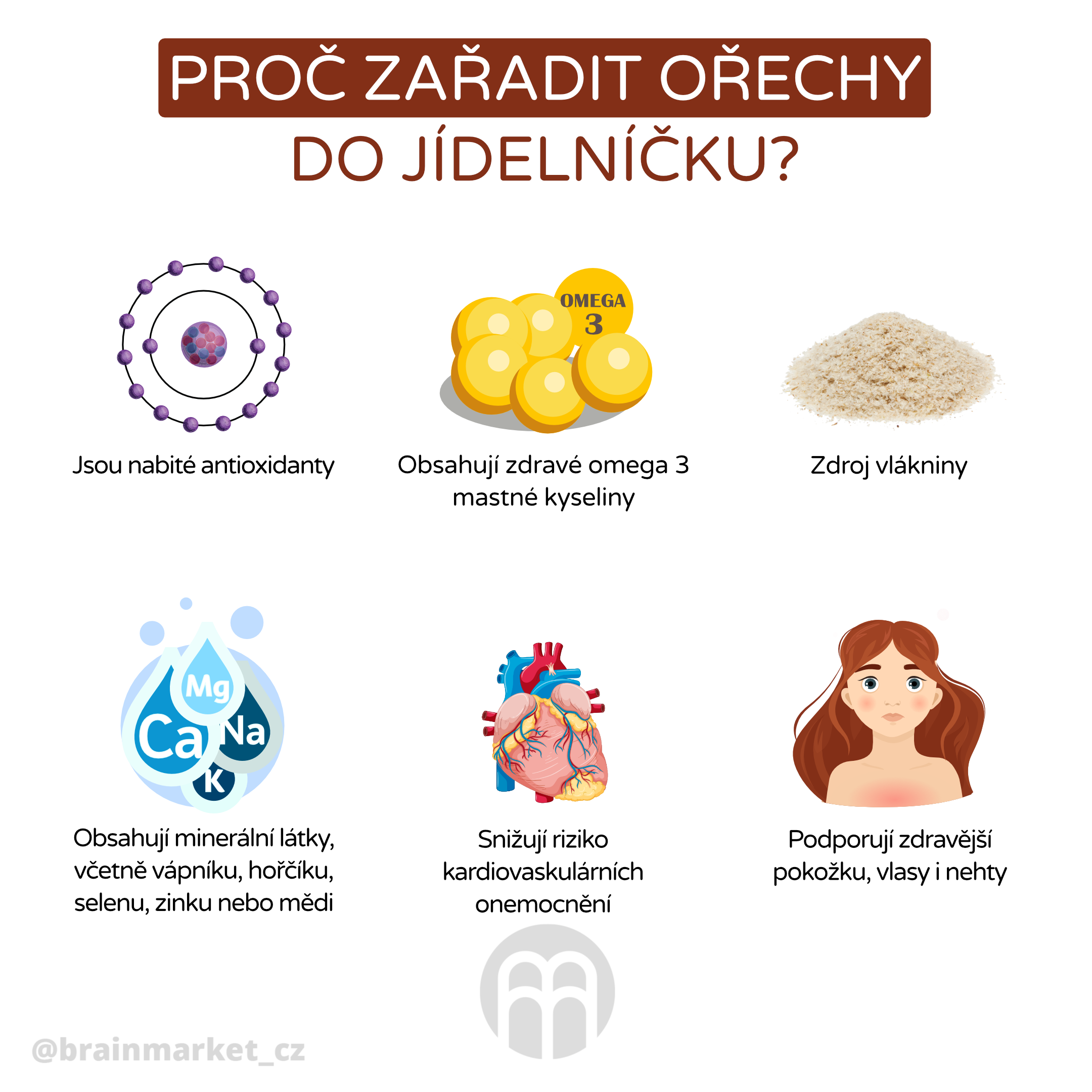 poric zaradit do jidelnicku orechy_infografika_cz